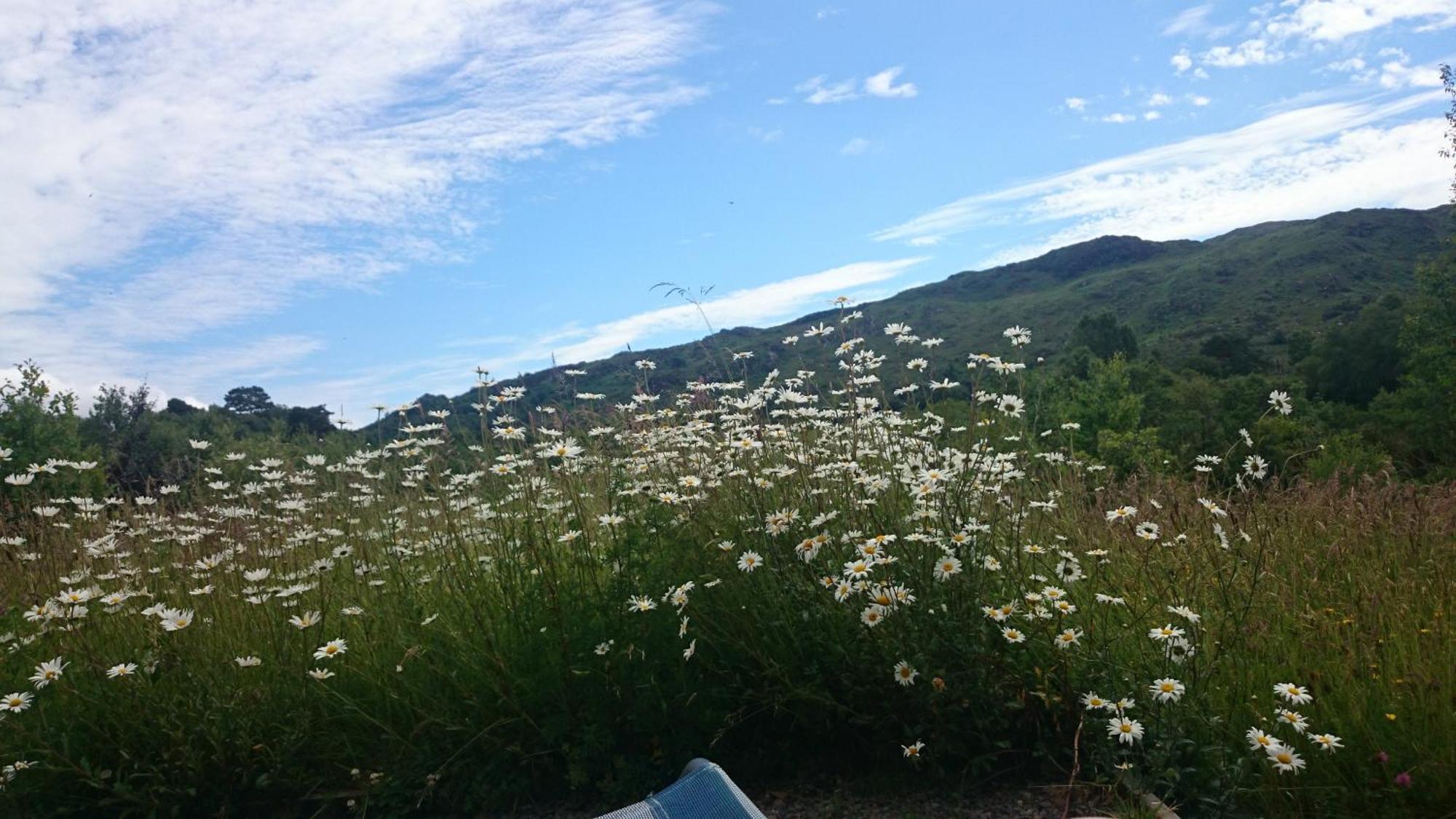 Kenmare Eco Lodge Екстериор снимка